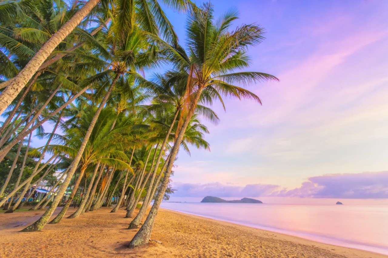 palm cove